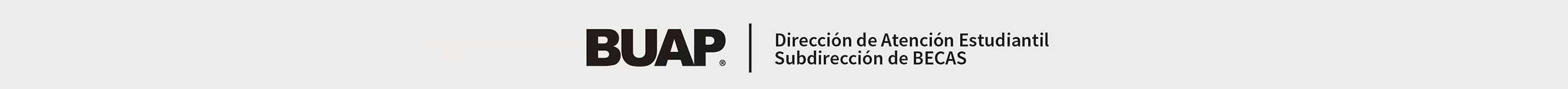 Dirección de Atención Estudiantil - Subdirección de Becas